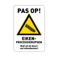 bord-eikenprocessierups